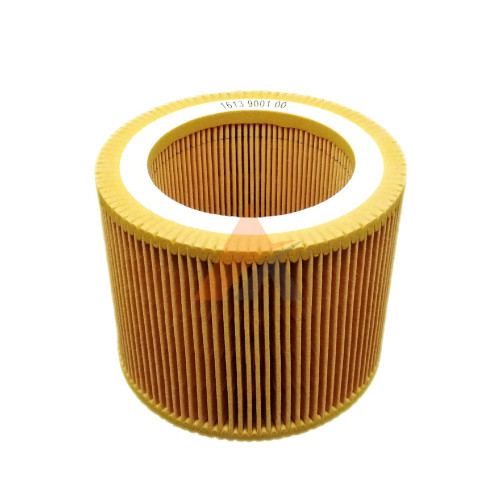 Air Filter 2255300113