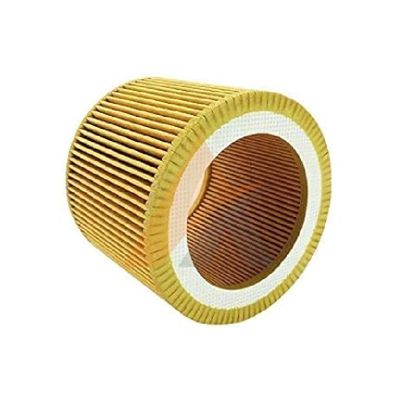 Air Filter 1613900100